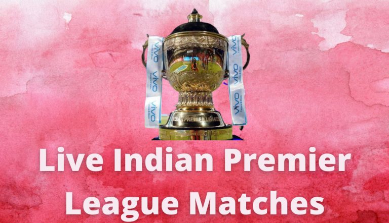 International level cricket matches that includes IPL and T20