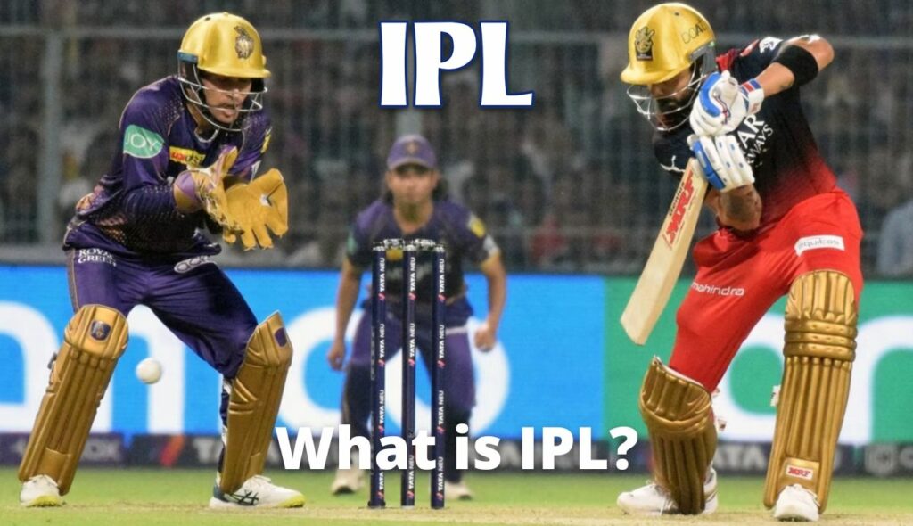 IPL tournament information